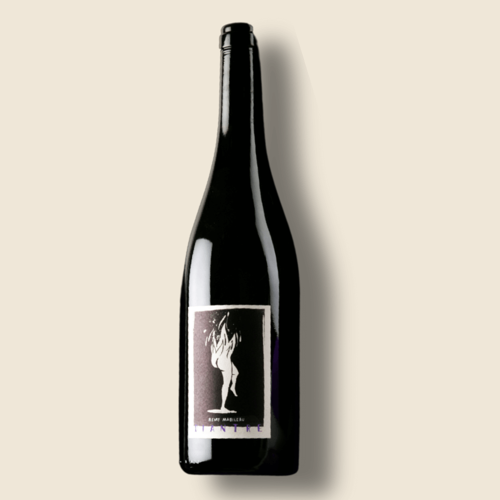 Vin De France - Diantre - 75cL - 2022 Rouge, Saumur, Domaine Frédéric Mabileau, Vallée De La Loire Et Centre, France