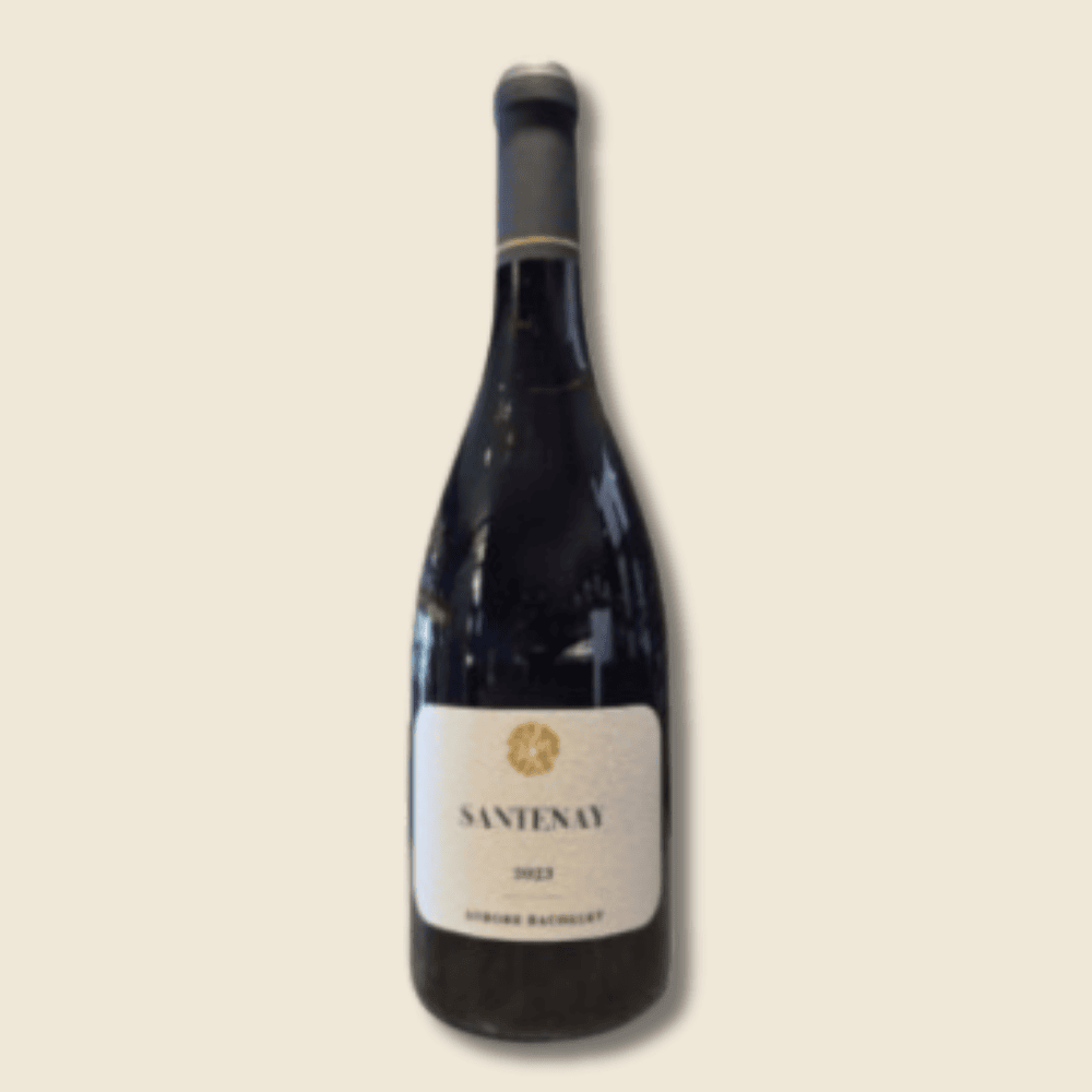 Santenay Rouge - 75cL - 2023