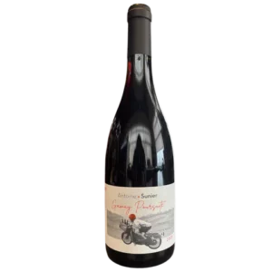 Gamay Poursuite - 75cL - 2024